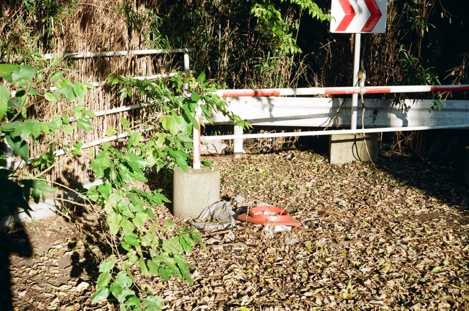 SUPER ROKKOR 45mm F2.8追加作例(ボディはZorki-1)