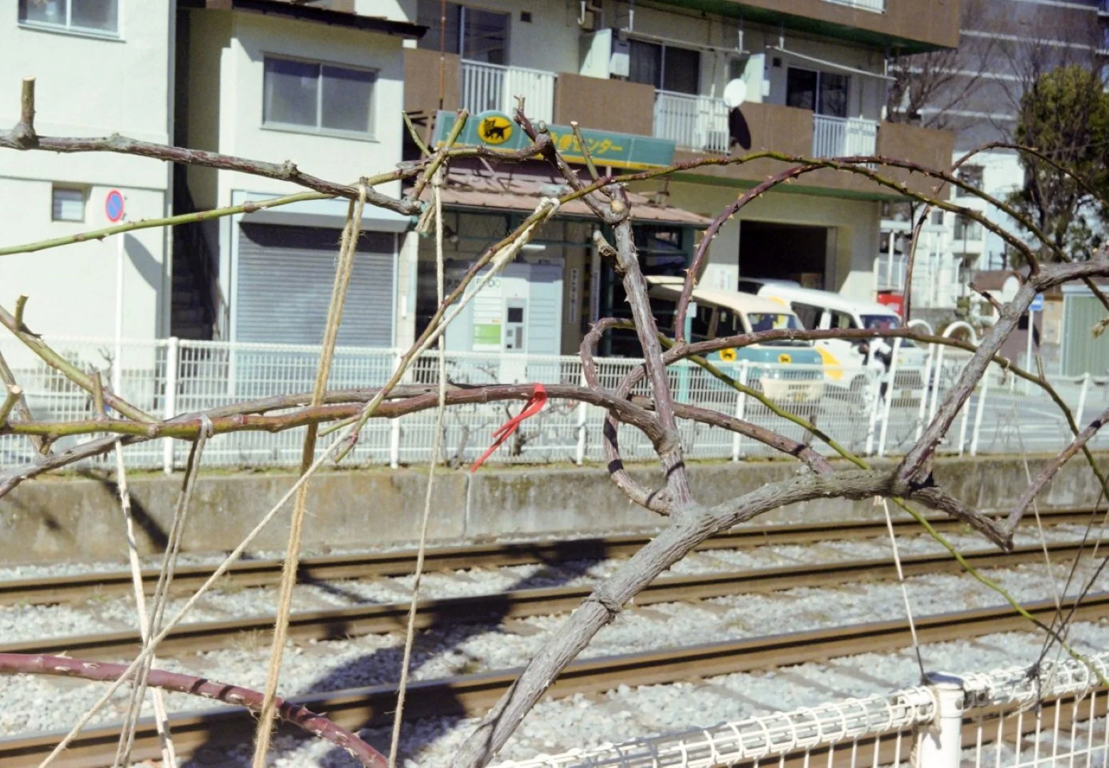 Minolta 35 II + SUPER ROKKOR 45mm F2.8作例