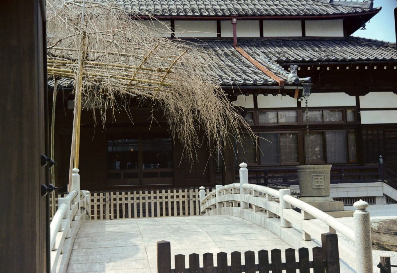 Minolta 35 II + SUPER ROKKOR 45mm F2.8作例