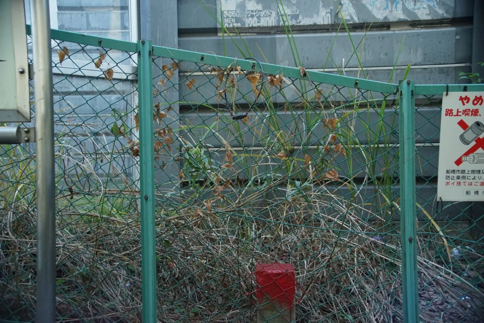 広角で2mくらい F5.6