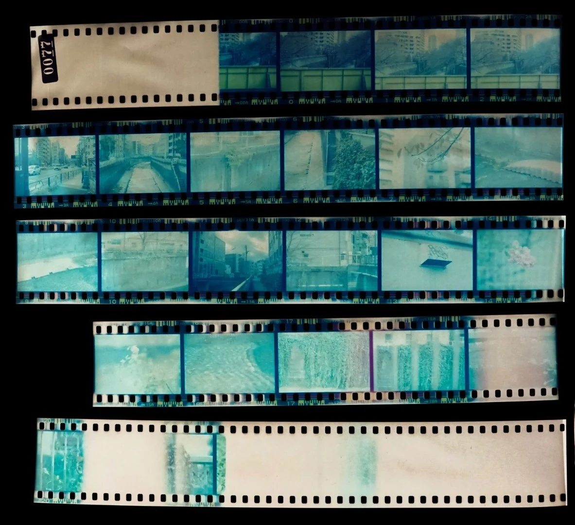 蓋をあけたフィルム