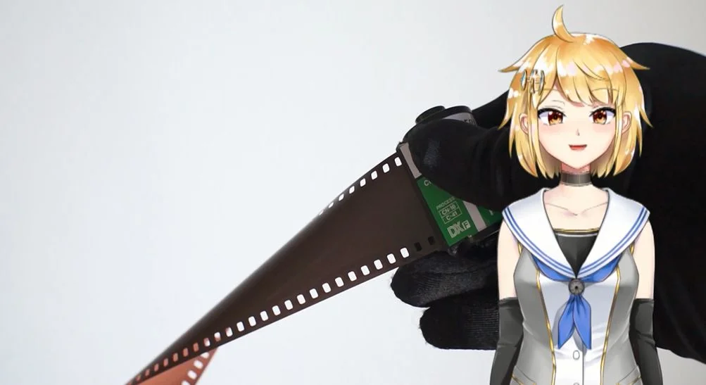 写真が全部ダメ