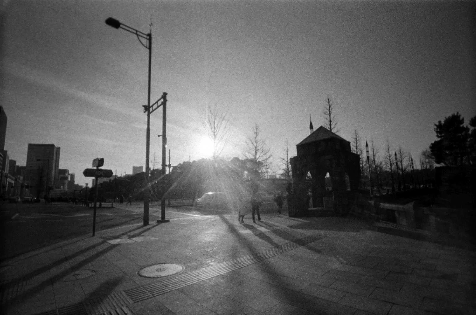 waiwaiワイド作例