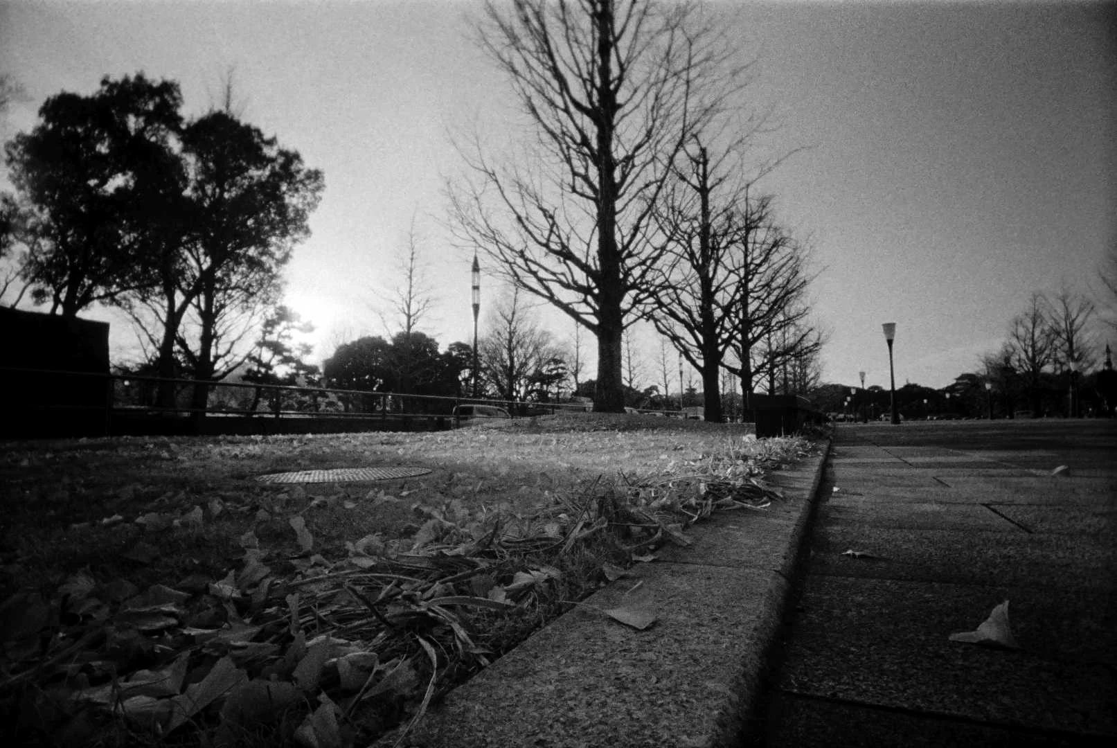 waiwaiワイド作例