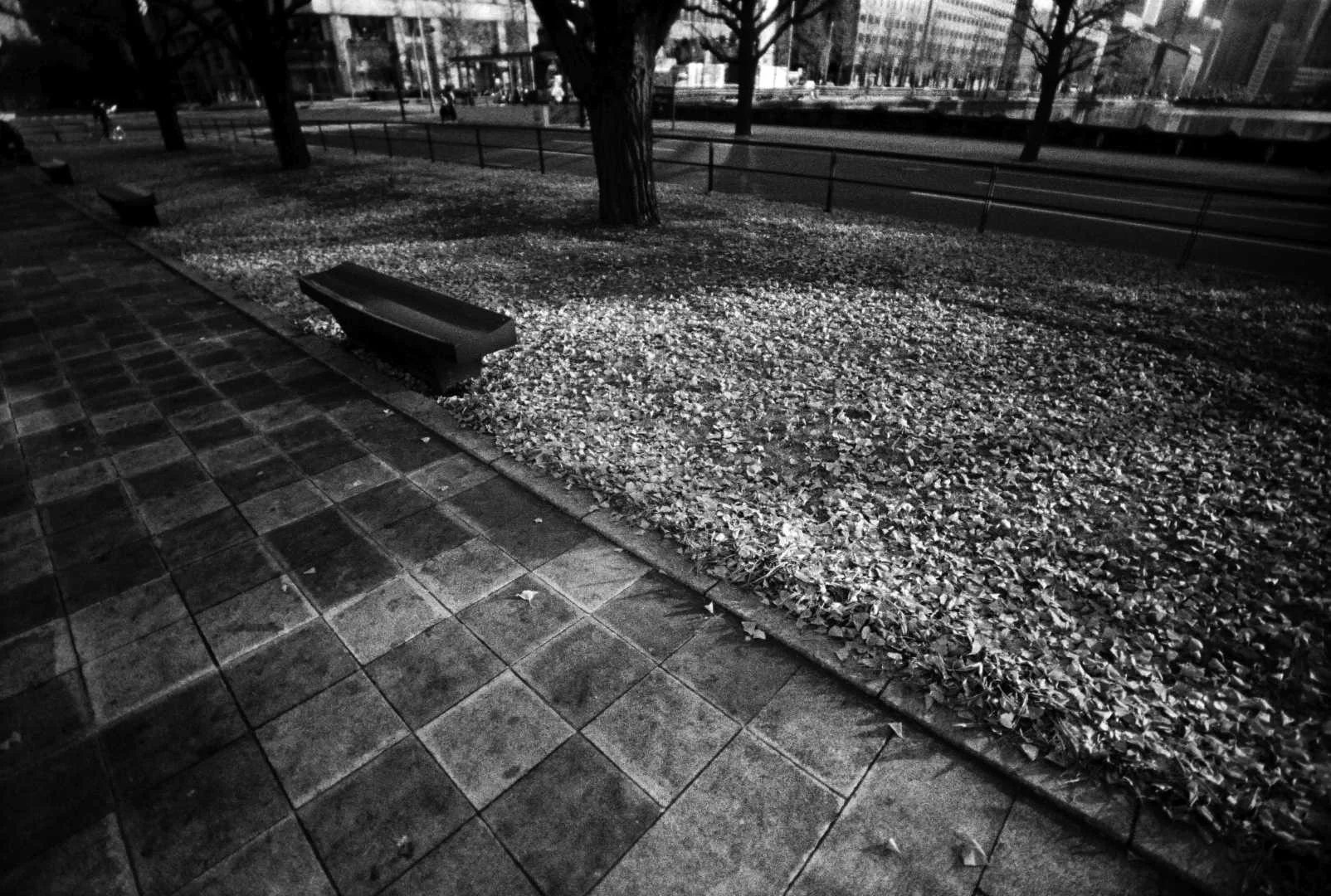 waiwaiワイド作例