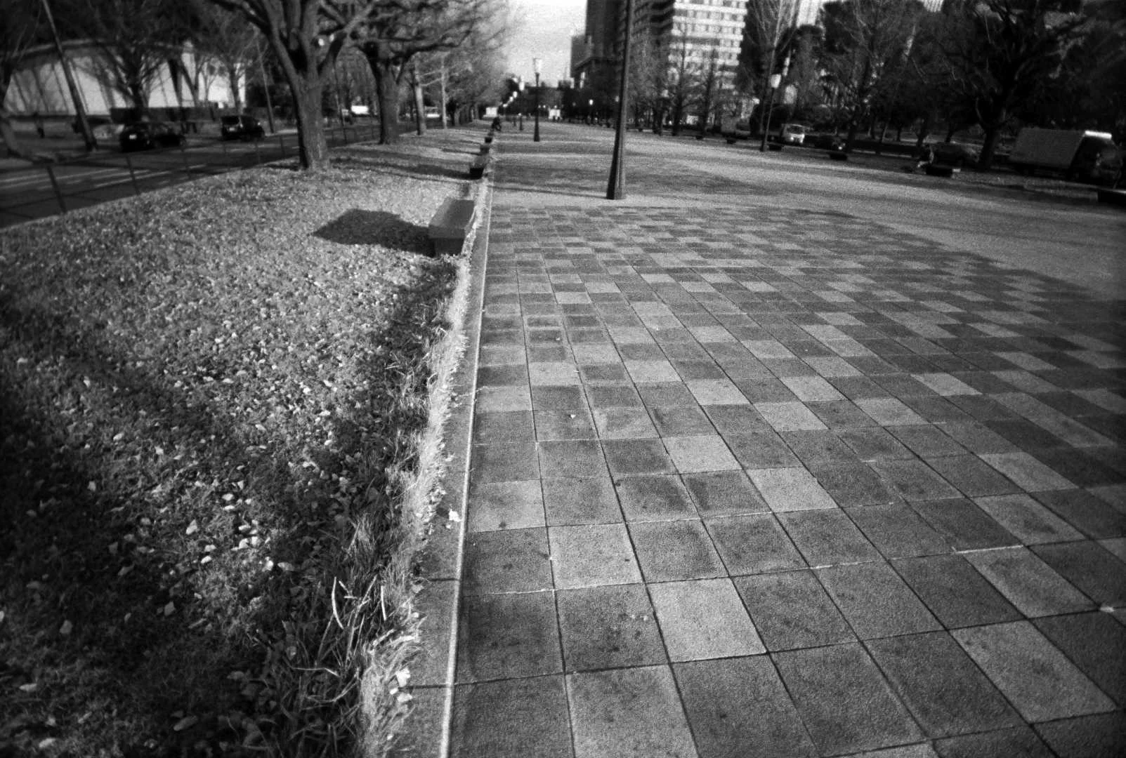 waiwaiワイド作例