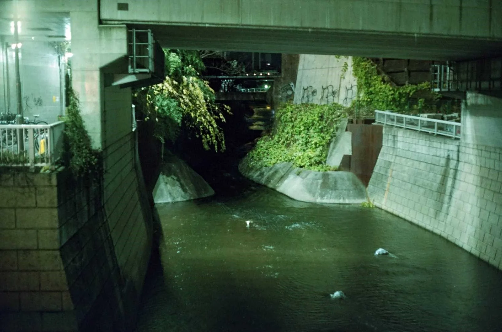 Yashica Electro35G作例