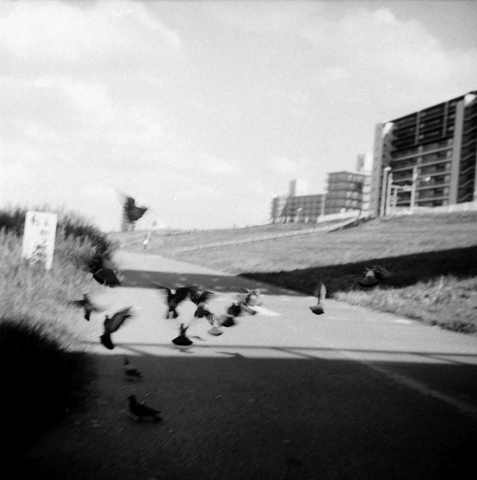 Yashicaflex A2 作例