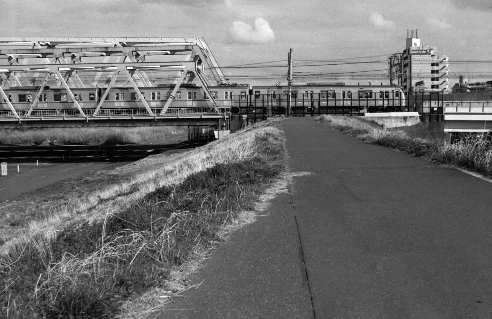 ZENIT-19とTessar 50mm F2.8作例