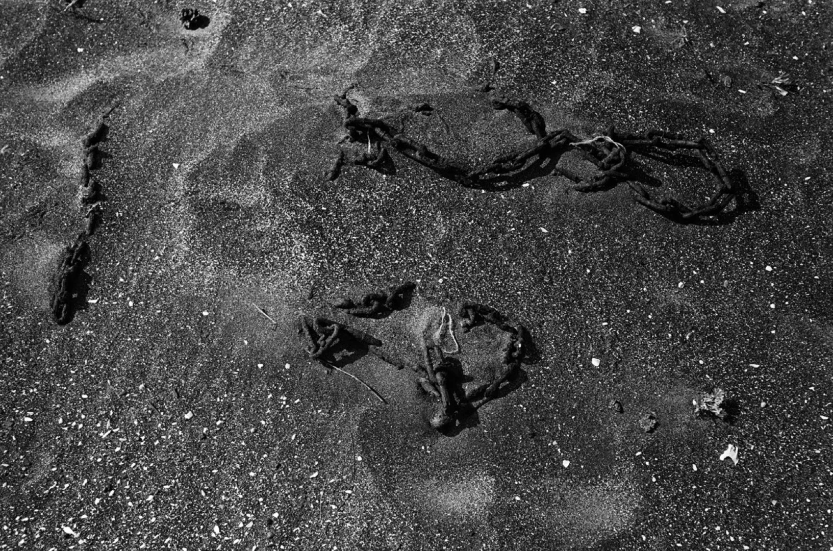 ゾルキー1とジュピター8の作例