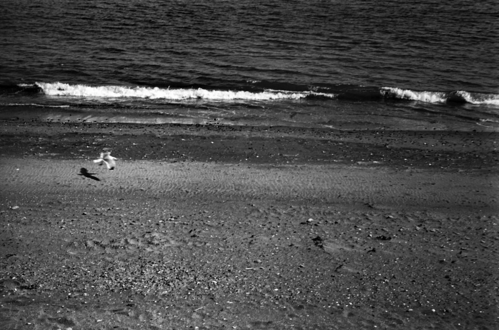 ゾルキー1とジュピター8の作例