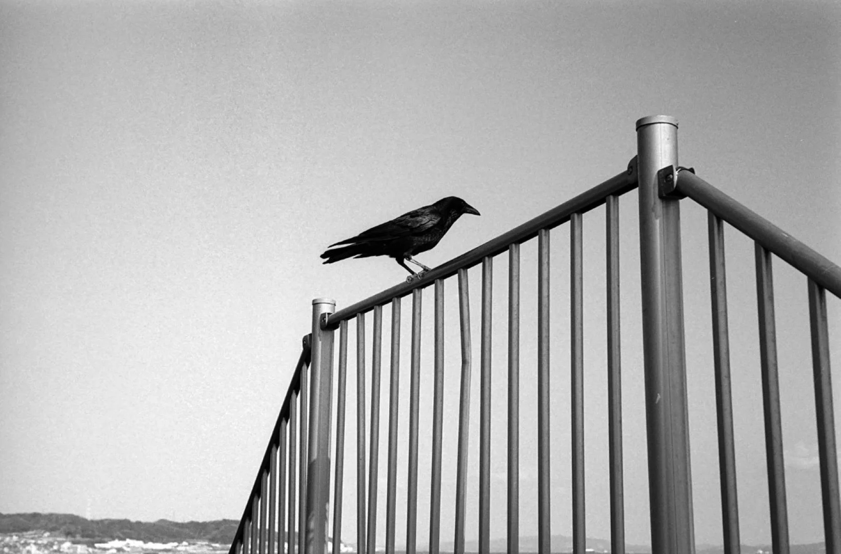 ゾルキー1とジュピター8の作例